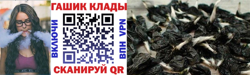 наркотики  Гвардейск  ГАШИШ 40% ТГК 
