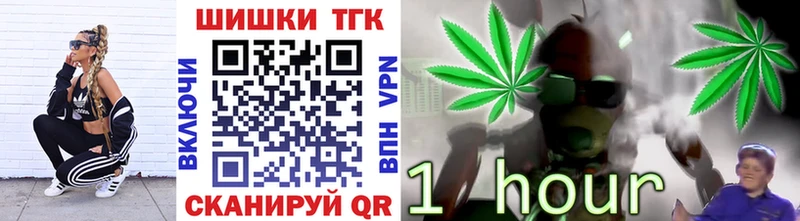 МАРИХУАНА ГИДРОПОН  где можно купить наркотик  Гвардейск 